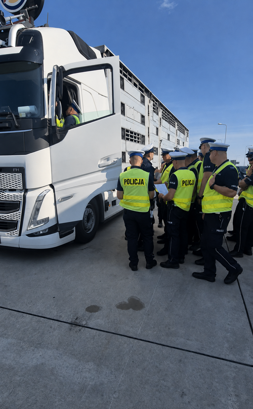 Na zdjęciu są widoczni słuchacze Szkoły Policji Ruchu Drogowego w Sieradzu, którzy w ramach zajęć praktycznych przeprowadzają kontrolę pojazdu ciężarowego przewożącego żywe zwierzęta.