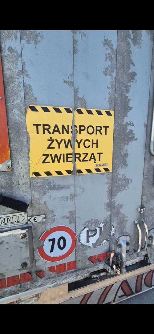 Na zdjęciu widoczna jest tylna część naczepy pojazdu ciężarowego wraz z tabliczką na której widnieje napis transport żywych zwierząt.
