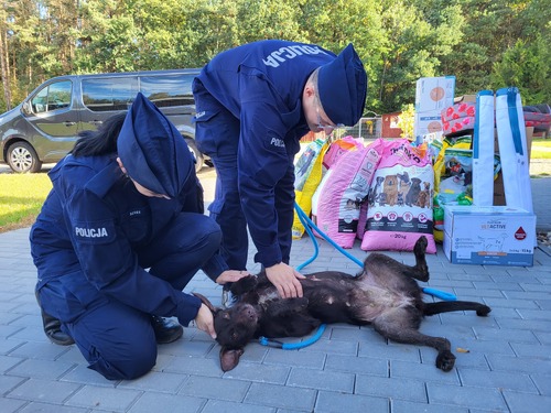 Na zdjęciu widoczni funkcjonariusze podczas akcji związanej z przekazaniem darów dla bezdomnych psów i kotów ze Schroniska Funny Pets w Czartkach