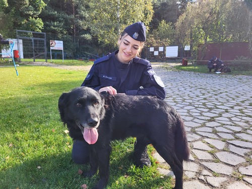 Na zdjęciu widoczni funkcjonariusze podczas akcji związanej z przekazaniem darów dla bezdomnych psów i kotów ze Schroniska Funny Pets w Czartkach