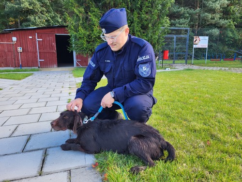 Na zdjęciu widoczni funkcjonariusze podczas akcji związanej z przekazaniem darów dla bezdomnych psów i kotów ze Schroniska Funny Pets w Czartkach