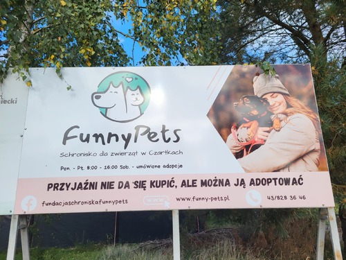 Na zdjęciu widoczny szyld Schroniska Funny Pets w Czartkach