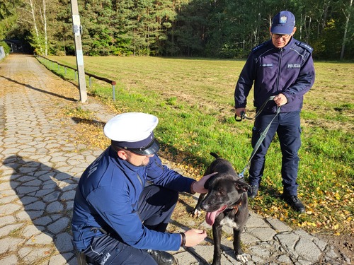 Na zdjęciu widoczni funkcjonariusze podczas akcji związanej z przekazaniem darów dla bezdomnych psów i kotów ze Schroniska Funny Pets w Czartkach